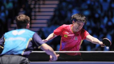 他們以50 他們以50