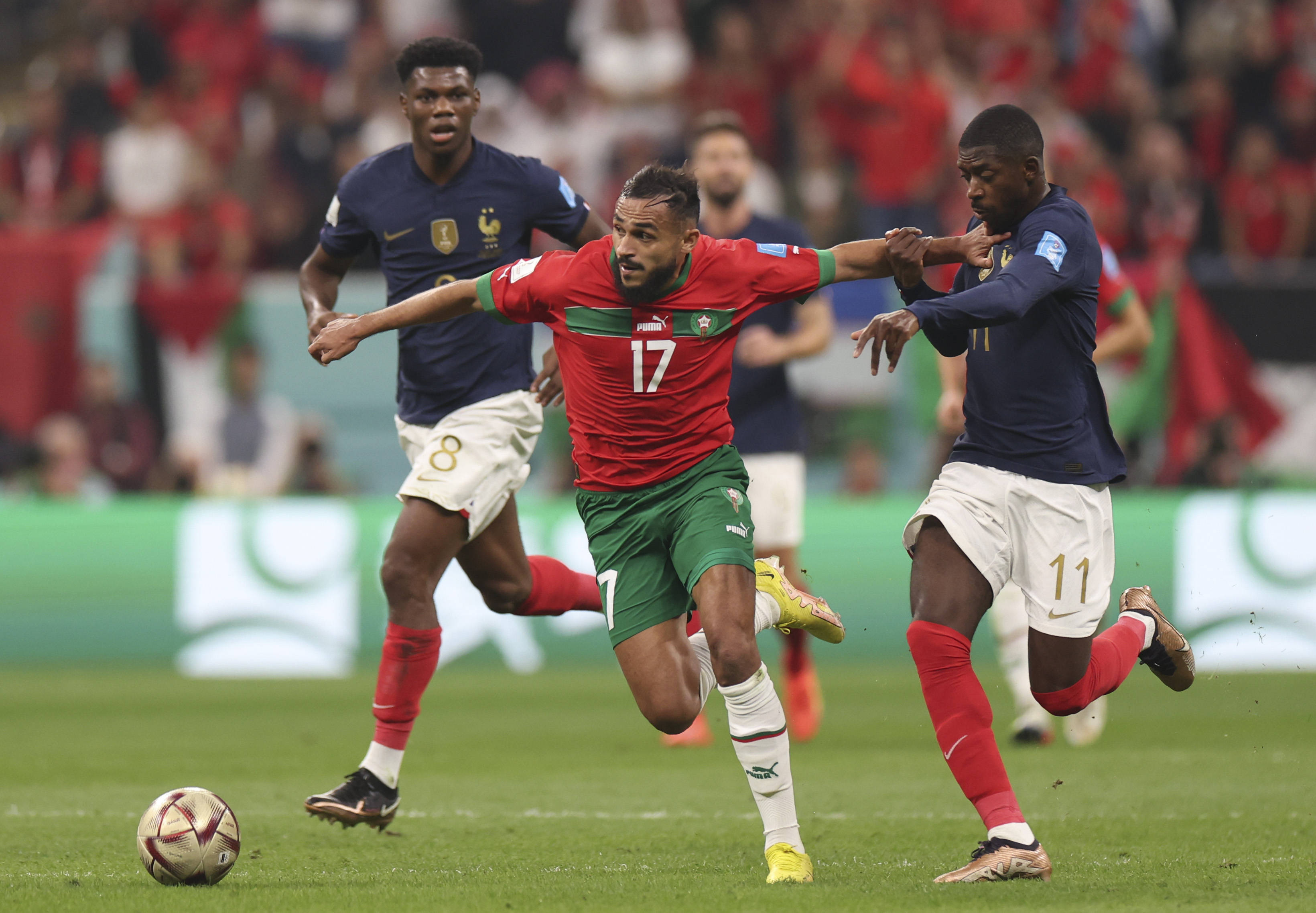 代表强牌 代表强牌